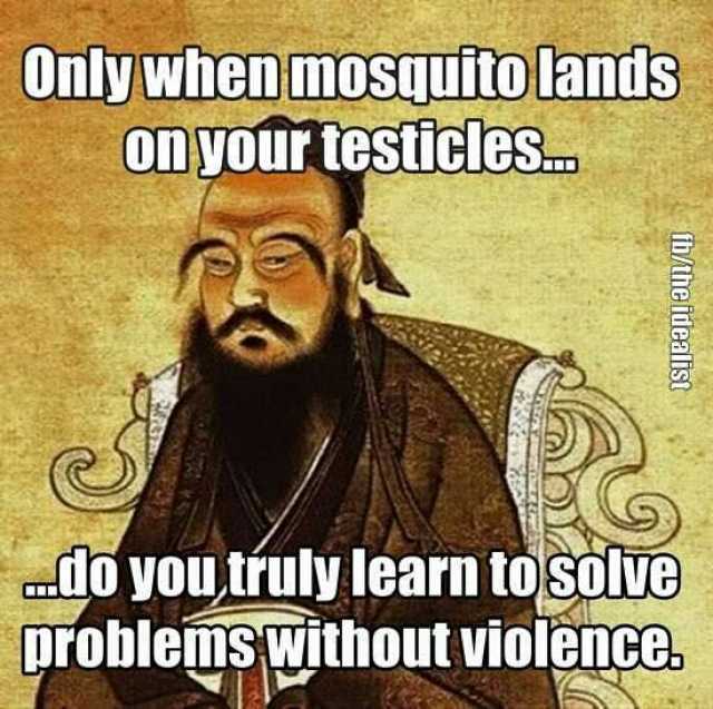 Only whenmosquito lands On your testicles. 1o you tuly learn tOSOlve problemswithoutviolence