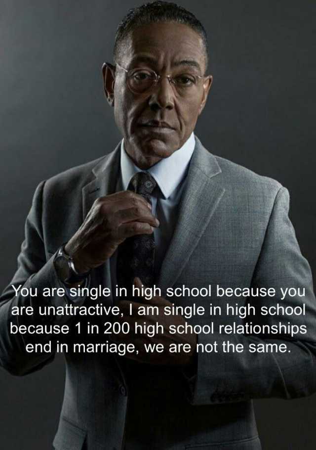 ou are single in high school because you are unattractive I am single in high school because 1 in 200 high school relationships end in marriage we are not the same.