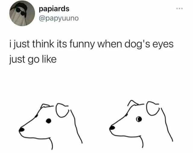 papiards @papyuuno ijust think its funny when dogs eyes just go like