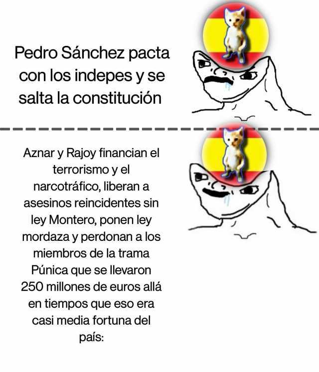 Pedro Sánchez pacta con los indepes y se salta la Constitución Aznar y Rajoy financian el terrorismo y el narcotráfico liberan a asesinos reincidentes sin ley Montero ponen ley mordaza y perdonan a los miembros de la trama Pún