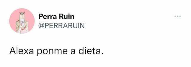 Perra Ruin @PERRARUIN Alexa ponme a dieta.