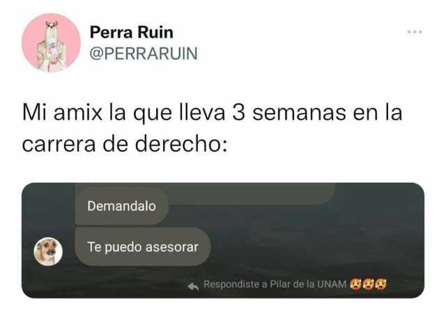 Perra Ruin @PERRARUIN Mi amix la que lleva 3 semanas en la carrera de derecho Demandalo Te puedo asesorar Respondiste a Pilar de la UNAM 8S