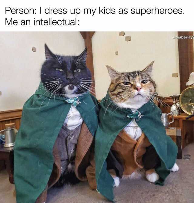 Person I dress up my kids as superheroes. Me an intellectual u/saberlilyg