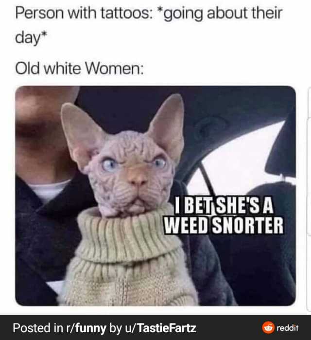 Person with tattoos going about their day Old white Women BETSHESA WEED SNORTER Posted in r/funny by u/TastieFartz reddit