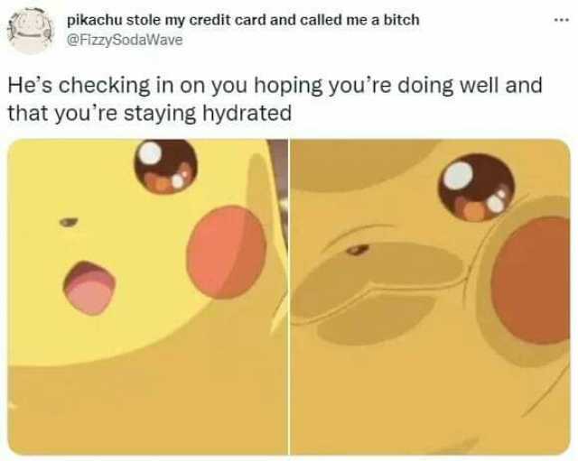 pikachu stole my credit card and called me a bitch @FizzySodaWave Hes checking in on you hoping youre doing well and that youre staying hydrated