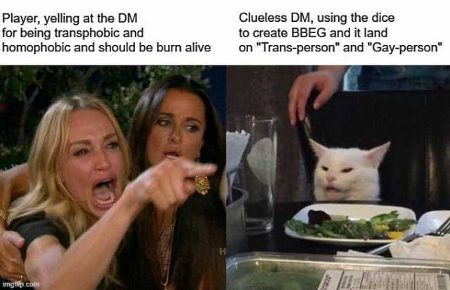 Player yelling at the DM for being transphobic and homophobic and should be burn alive Clueless DM using the dice to create BBEG and it land on Trans-person and Gay-person imgilp.com