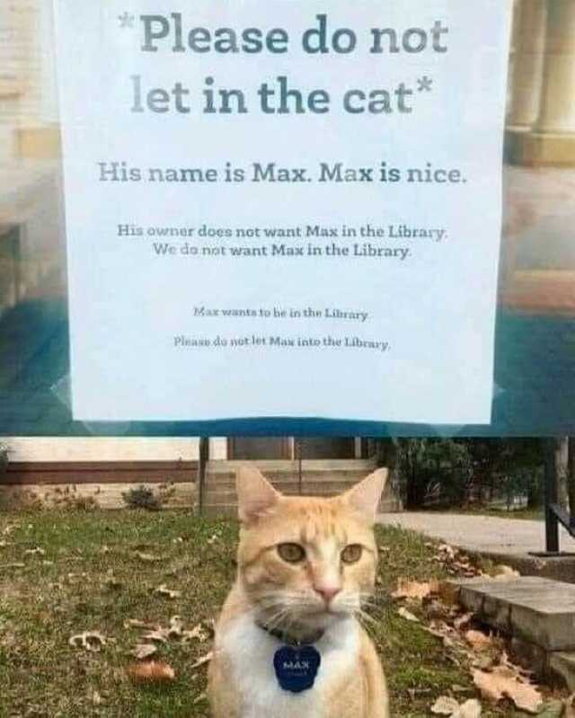 Please do not let in the cat His name is Max. Max is nice. His awner does not want Max in the Library We do nat want Max in the Library Max wants to be io the Lilbrary PleaNdo not let Max into the Libraxy