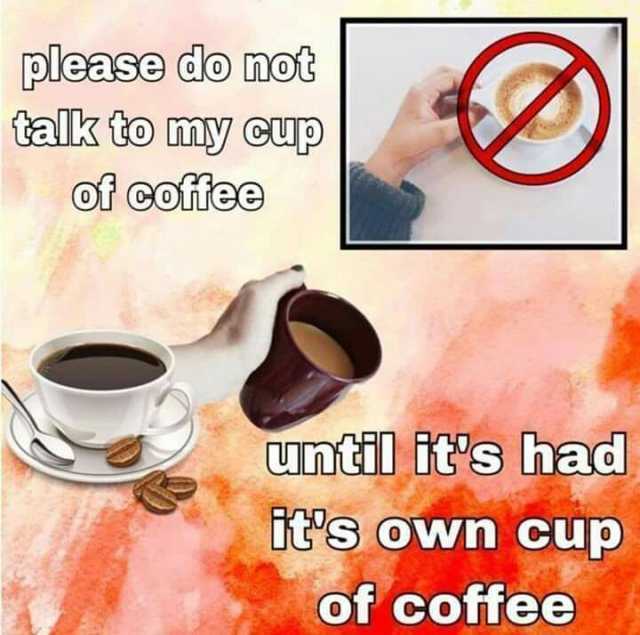 please do not talk to my cup of coffee Uuntil its had its own cup of coffee