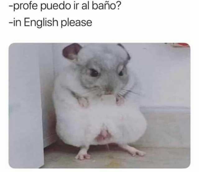-profe puedo ir al baño -in English please