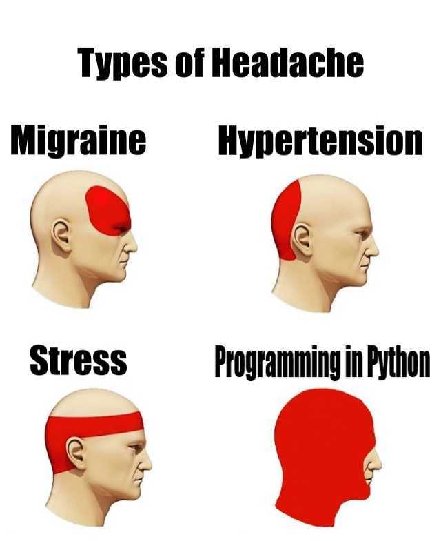 Programming in python