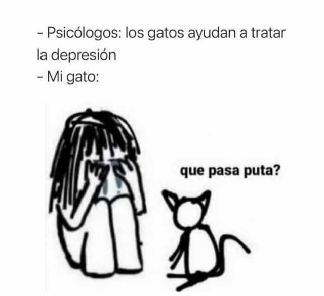 - Psicólogos los gatos ayudan a tratar la depresión - Mi gato que pasa puta