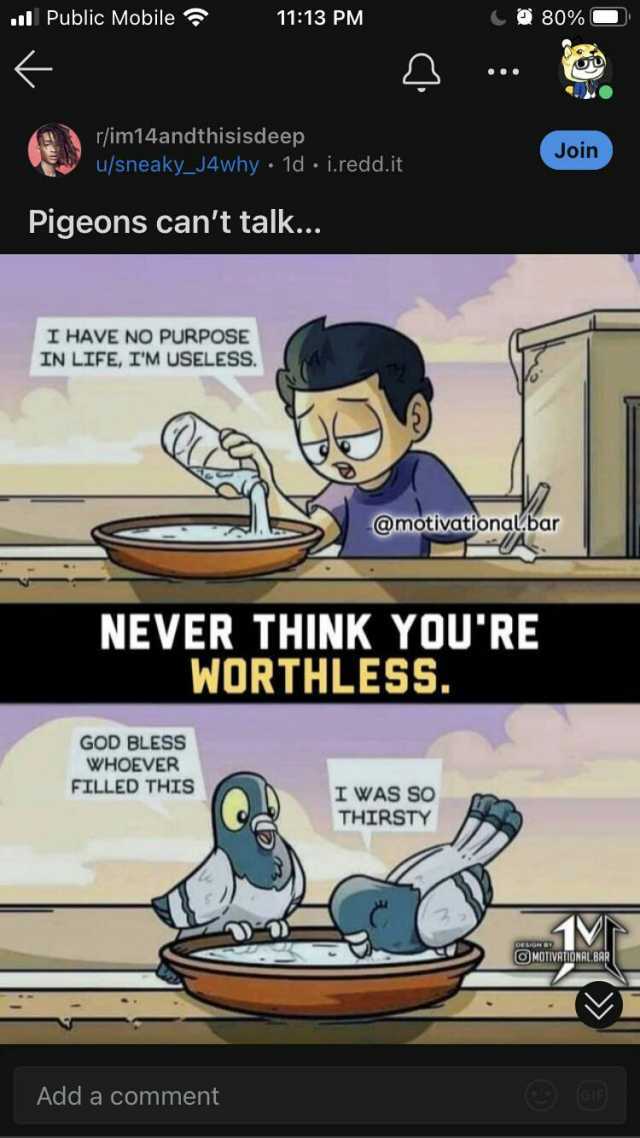 Public Mobile 1113 PM 80% r/im14andthisisdeep Join u/sneaky_J4why 1d i.redd.it Pigeons cant talk... I HAVE NO PURPOSE IN LIFE IM USELESS @motivattonalbar NEVER THINK YOURE WORTHLESS. GOD BLESs WHOEVER FILLED THIS I WAS S0 THIRSTY 