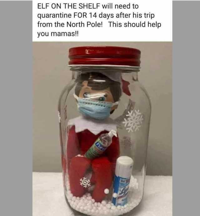 quarantine FOR 14 days after his trip from the North Pole! This should help ELF ON THE SHELF will need to you mamas! Pur 