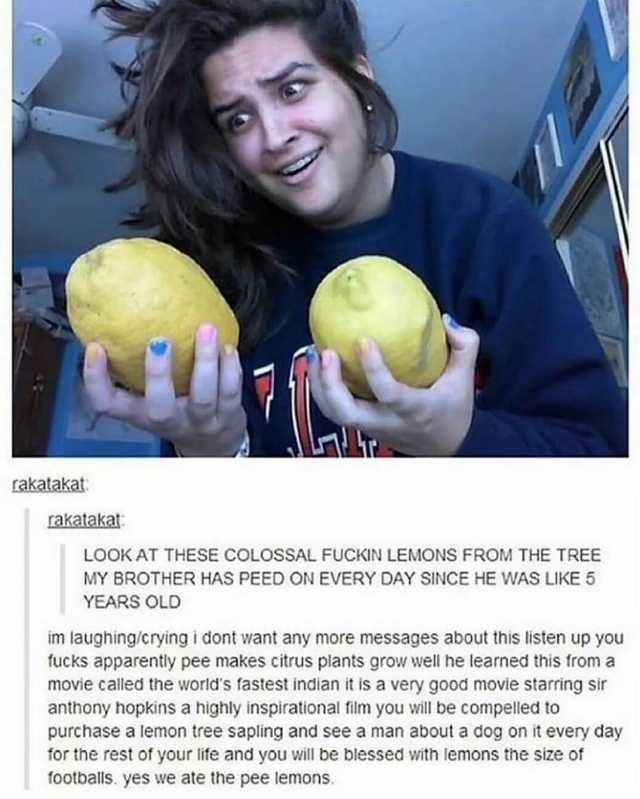 rakatakat rakatakat LOOK AT THESE COLOSSAL FUCKIN LEMONS FROM THE TREE MY BROTHER HAS PEED ON EVERY DAY SINCE HE WAS LIKE 5 YEARS OLDb im laughing/crying i dont want any more messages about this listen up you fucks apparently pee 