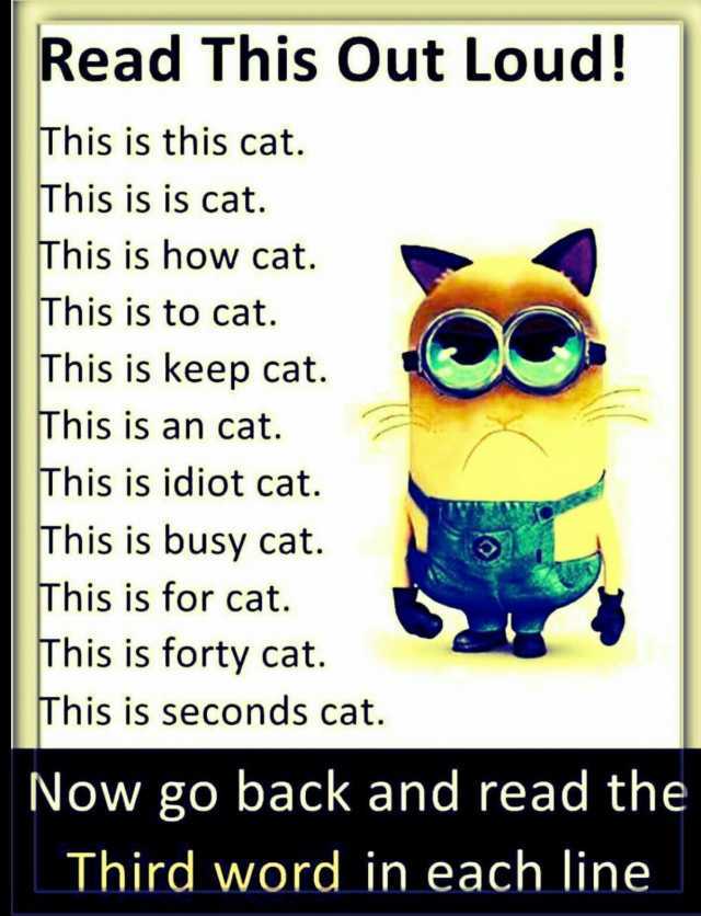 Read This Out Loud! This is this cat. This is is cat. This is how cat. This is to cat. This is keep cat. This is an cat. This is idiot cat. This is busy cat. This is for cat. This is forty cat. This is seconds cat. Now go back and