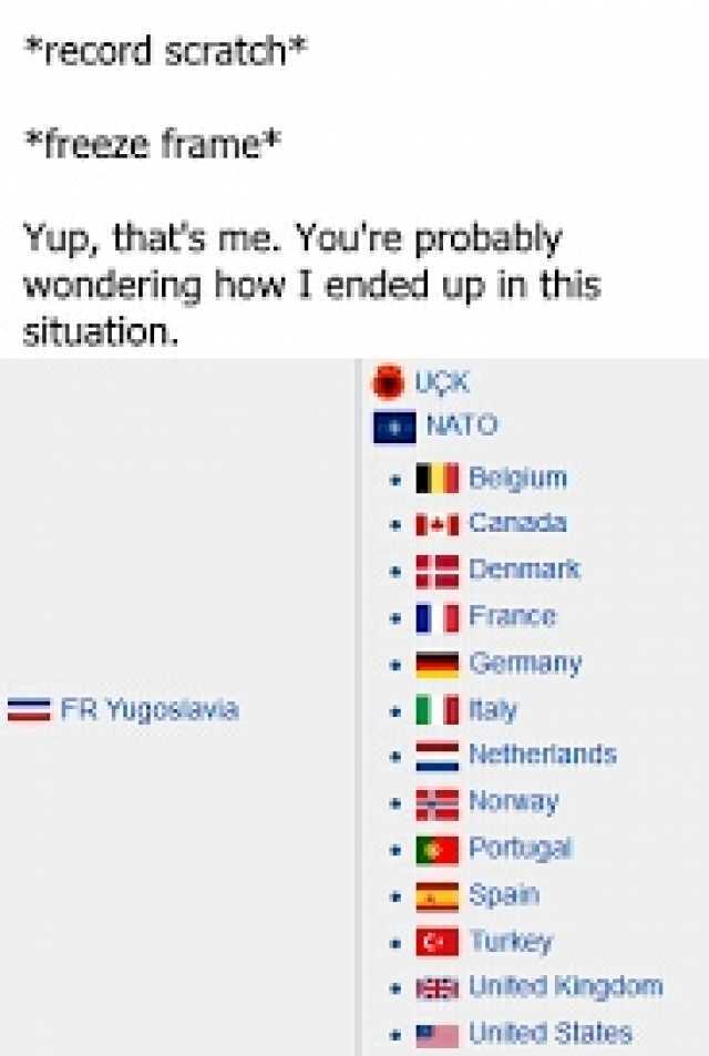record scratch* freeze frame Yup thats me. Youre probably wondering how I ended up in this situation. UCK ATO I Beigium + Canada Denmark France Gemany =FR Yugoslavia Iay Netheriands Norway Portuga Spain Turkey E Unted Kingdom 1Unt