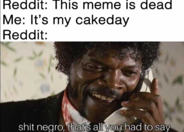 Reddit This meme is dead Me Its my cakeday Reddit shit negro thats allyou had to say