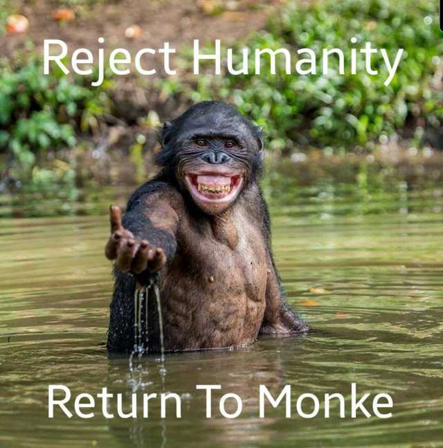 Reject Humanity Return To Monke