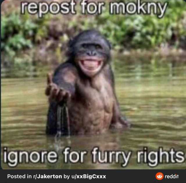 repost for mokny ignore for furry rights Posted in r/Jakerton by u/xxBigCxxx reddit