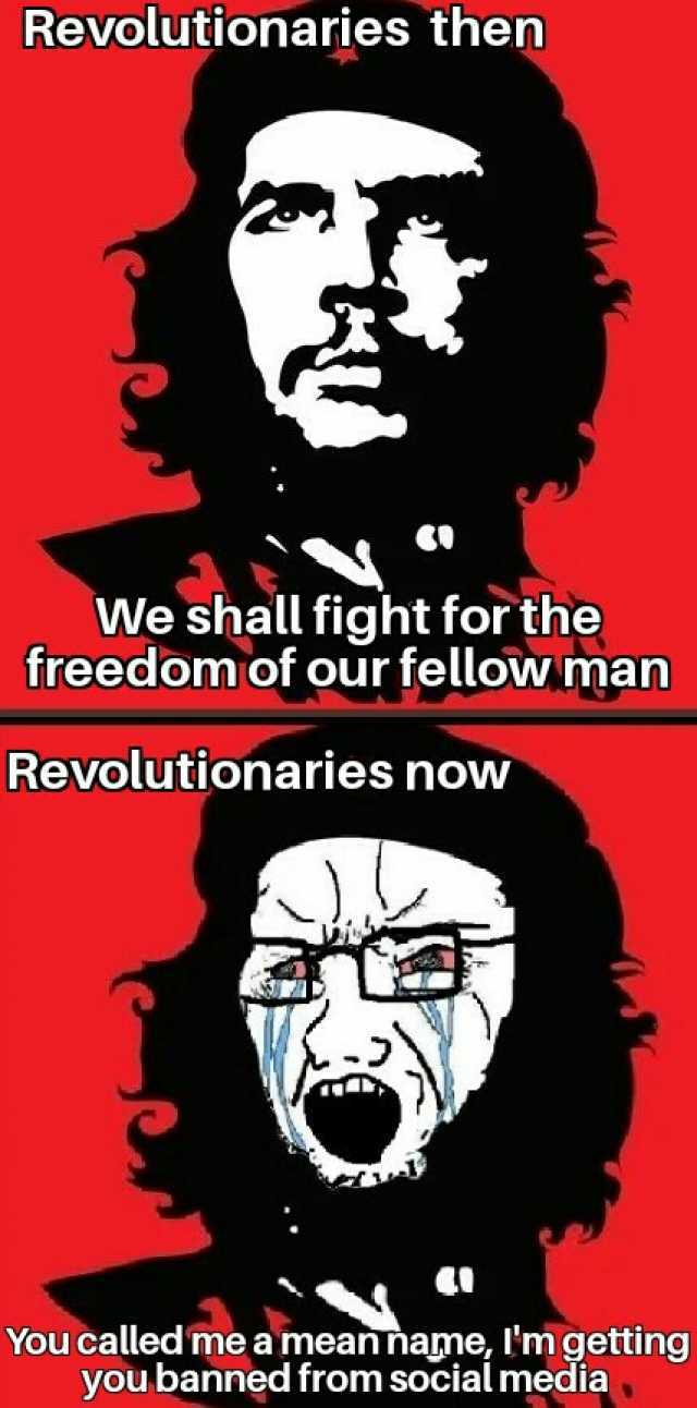 Revolutionaries then We shall fight for the freedomof our fellow man Revolutionaries now You called me a meanname Imgetting you banned from social media