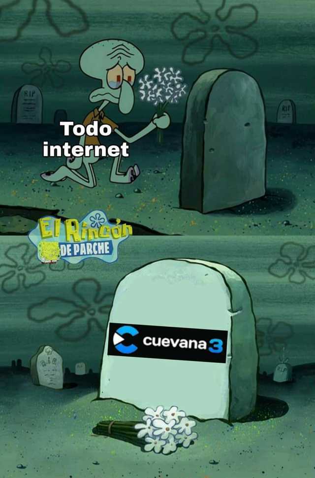 RIP Todo internet DE PARCHE cuevana3
