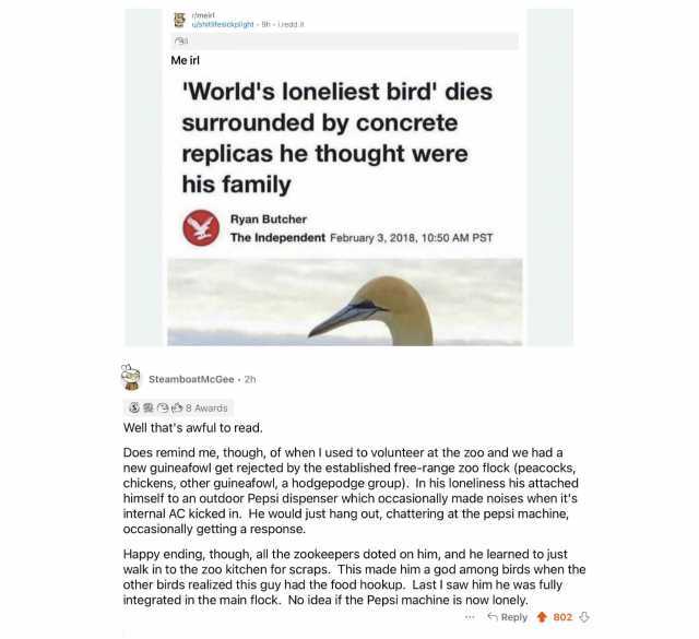 r/meirl u/shitlifesickplight 9h i.redd.it 3 Me irl Worlds loneliest bird dies surrounded by concrete replicas he thought were his family Ryan Butcher The Independent February 3 2018 1050 AM PST SteamboatMcGee 2h 08 Awards Well tha