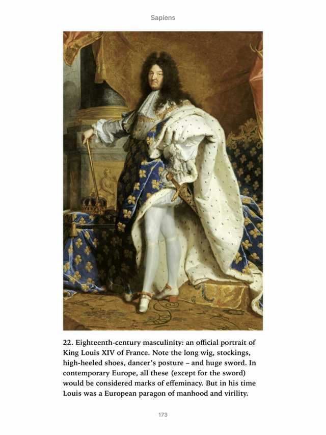 Sapiens 22. Eighteenth-century masculinity an official portrait of King Louis XIV of France. Note the long wig stockings high-heeled shoes dancers posture and huge sword. In contemporary Europe all these (except for the sword) wou