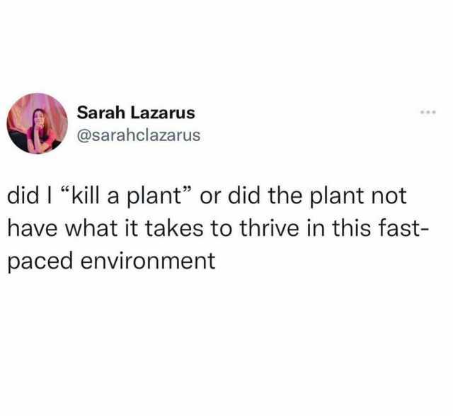 Sarah Lazarus @sarahclazarus did I kill a plant or did the plant not have what it takes to thrive in this fast- paced environment