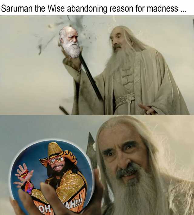 Saruman the Wise abandoning reason for madness.