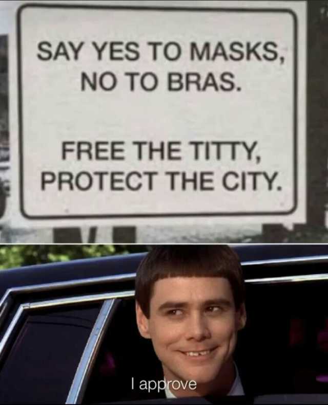 SAY YES TO MASKS NO TO BRAS. FREE THE TITTY PROTECT THE CITY. approve