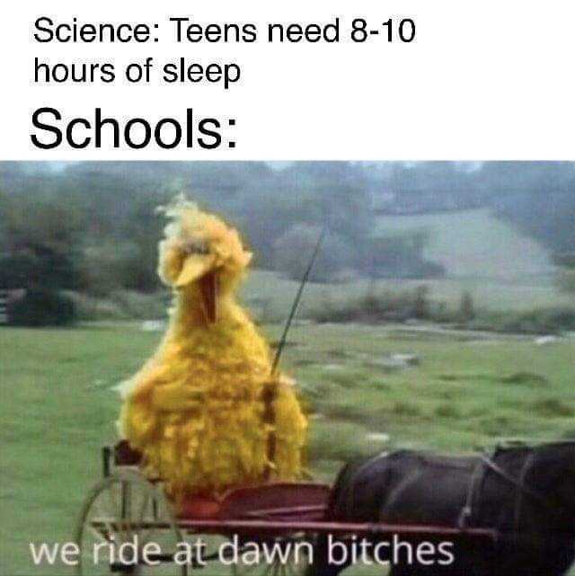 Science Teens need 8-10 hours of sleep Schools we ride at dawn bitches 