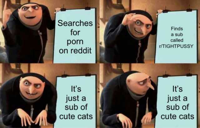 Searches Finds for a sub called porn on reddit r/TIGHTPUSSY Its Its just a sub of just a sub of M cute cats cute cats