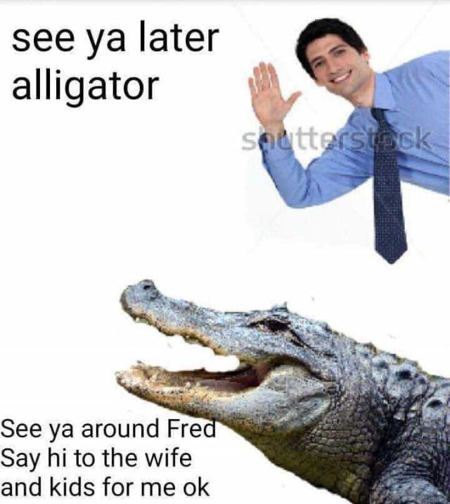 see ya later alligator sutterstock See ya around Fred Say hi to the wife and kids for me ok 