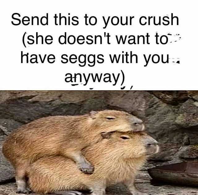 Send this to your crush (she doesnt want to Have seggs with you anyway)