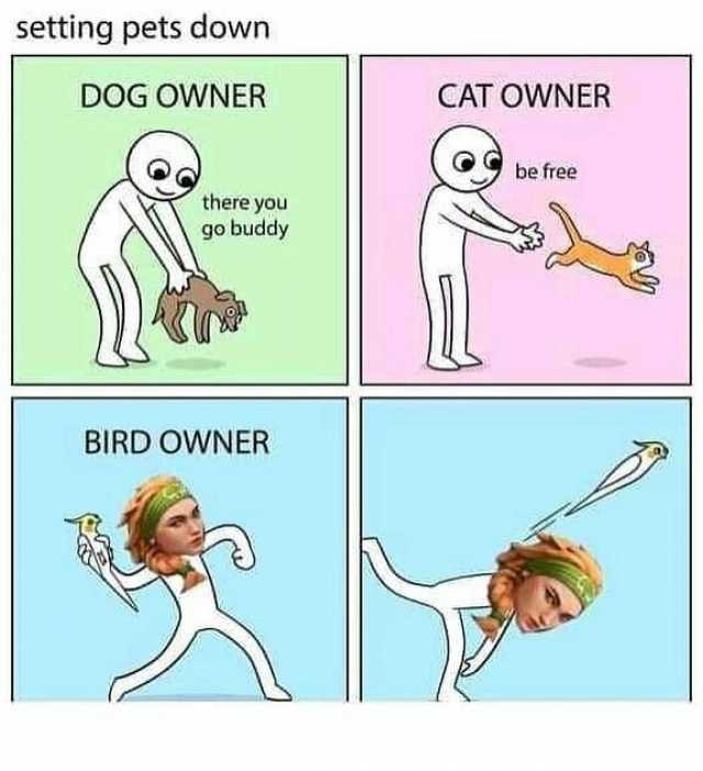 setting pets down DOG OWNER CAT OWNER be free there you go buddy BIRD OWNER