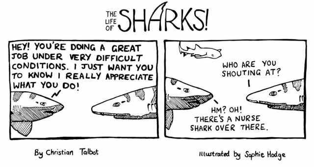 SHARKS OF HEY! YOURE DOING A GREAT TOB UNDER VERY DIFFICULTT CONDITIONS. JUST WANT YOU TO KNOW I REALLY APPRECIATE WHAT YoU DO! WHO ARE YOU SHOUTING AT HM OH! THERES A NURSE SHARK OVER THERE. By Christian Talbot lstrated by Sophie