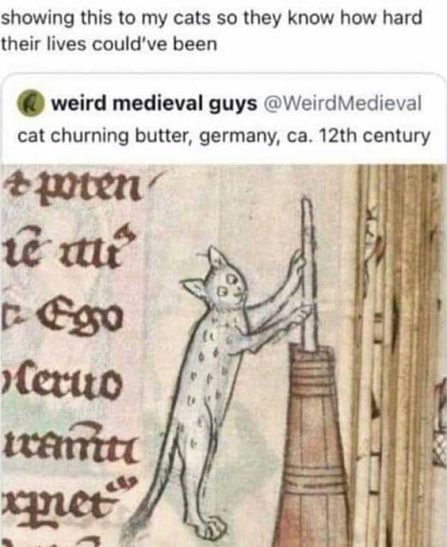 showing this to my cats so they know how hard their lives couldve been weird medieval guys @WeirdMedieval cat churning butter germany ca. 12th century pEgo Ceruo ttaitt