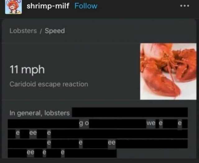 shrimp-milf Follow Lobsters/ Speed 11 mph Caridoid escape reaction In general lobsters go we e e ee ee ee