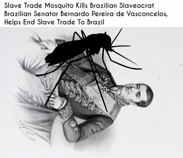 Slave Trade Mosquito Kills Brazilian Slaveocrat Brazilian Senator Bernardo Pereira de Vasconcelos Helps End Slave Trade To Brazil A