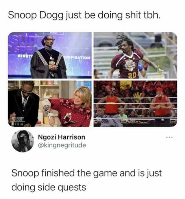 Snoop Dogg just be doing shit tbh. NINET PIRATON NO.BODY ECIAL Ngozi Harrison @kingnegritude Snoop finished the game and is just doing side quests