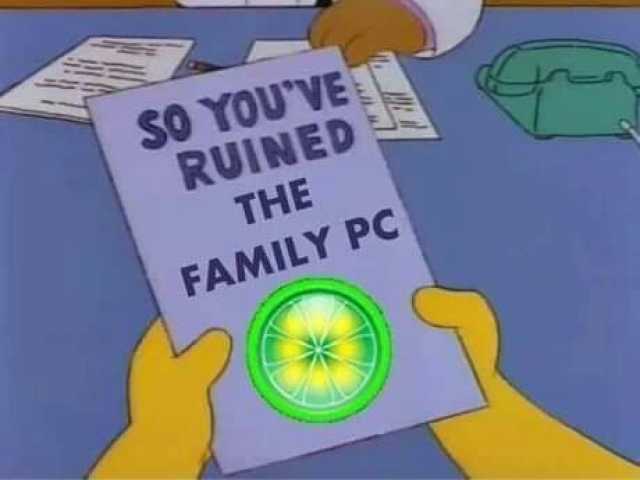 SO YOUVE RUINED THE FAMILY PC