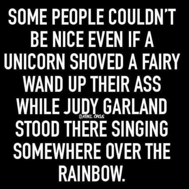SOME PEOPLE COULDNT BE NICEEVEN IF A UNICORN SHOVED A FAIRY WAND UP THEIR ASS WHILE JUDY GARLAND STOOD THERE SINGING SOMEWHERE OVER THE RAINBOW. @REREL CRUS