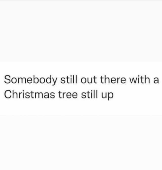 Somebody still out there with a Christmas tree still up