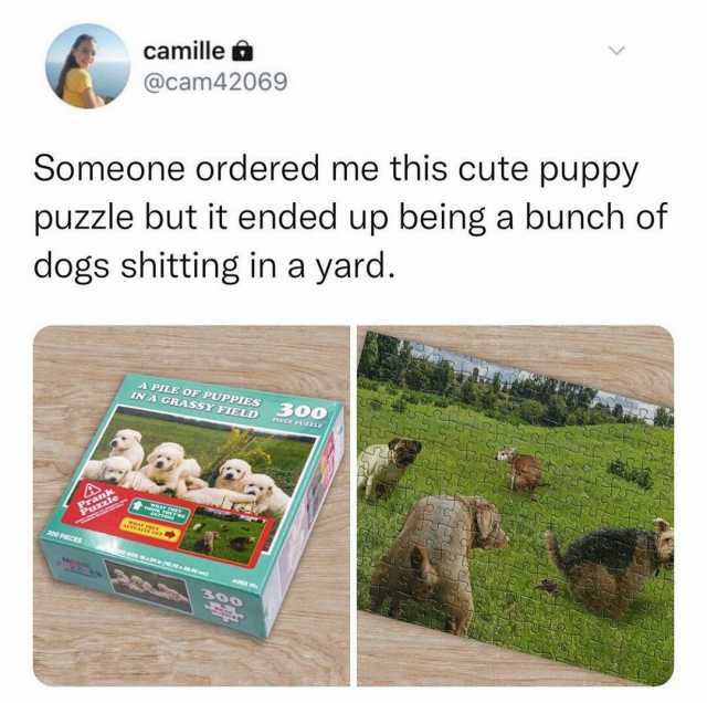 Someone ordered me this cute puppy puzzle but it ended up being a bunc camille @cam42069 dogs shitting in a yard. Prae 300 PIECCES A PILE OF PUPPIES INA GRASSY FIELD 300 PHCEPUTLLK