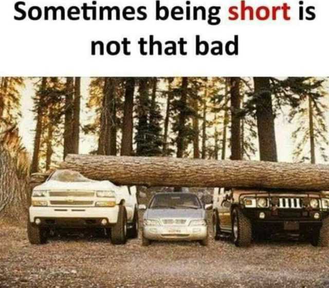 Sometimes being short is not that bad