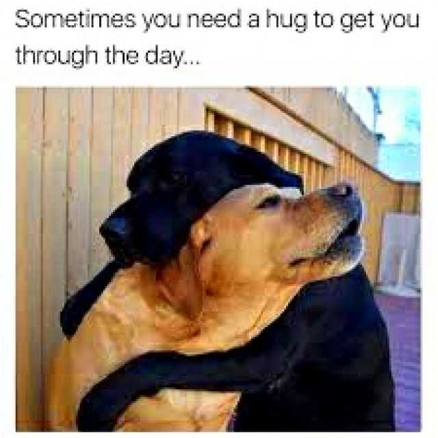 Sometimes you need a hug to get you through the day..