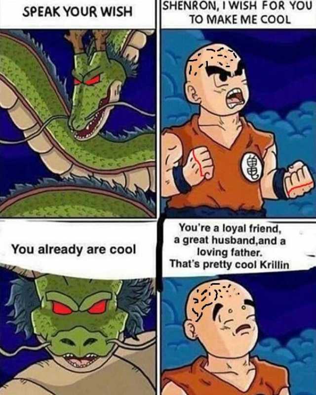 SPEAK YOUR WISH You already are cool SHENRON I WISH FOR YOU TO MAKE ME COOL Youre a loyal friend a great husbandand a loving father. Thats pretty cool Krillin