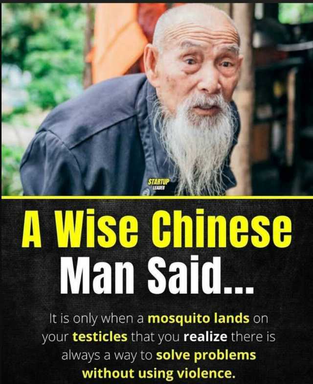 STARTUP Wise Chinese Man Salu... t is only when a mosquito lands on your testicles that you realize there is always a way to solve problems without using violence.