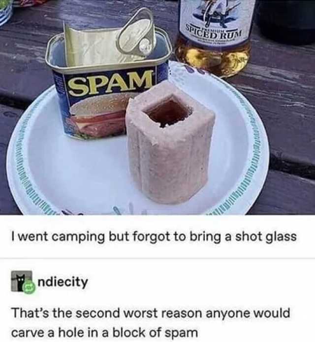 STED ROUM SPAM I went camping but forgot to bringa shot glass ndiecity Thats the second worst reason anyone would carve a hole in a block of spam
