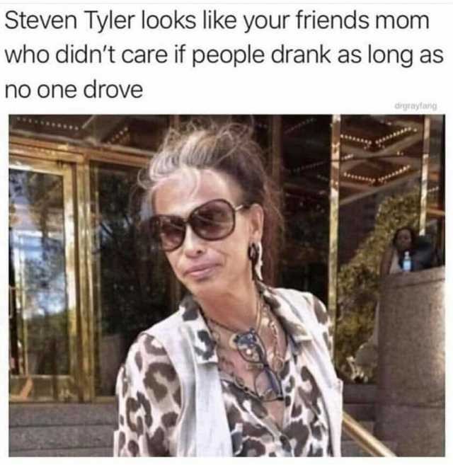 Steven Tyler looks like your friends momn who didnt care if people drank as long as no one drove drgrayfarng